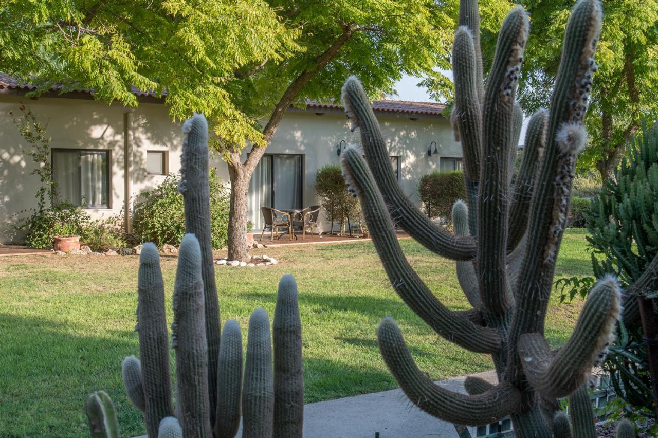 Degania Bet Kibbutz Country Lodging Hotel Kinneret Luaran gambar